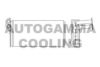 AUTOGAMMA 105994 Heat Exchanger, interior heating